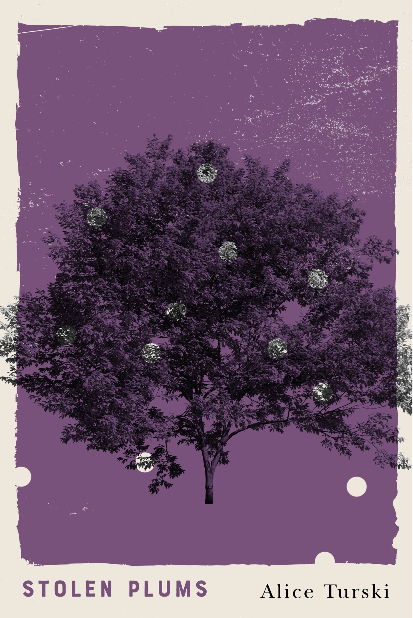 Stolen Plums