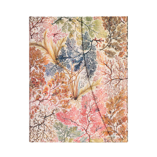 Anemone Ultra Lined Hardcover Journal, 144pg, 120GSM by Paperblanks (William Kilburn)