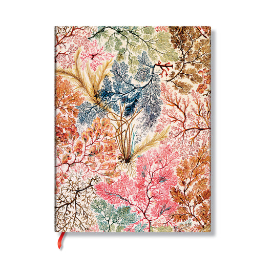Anemone, William Kilburn, Softcover Flexis, Mini, Unlined, Elastic Band, 208 Pg, 80 GSM