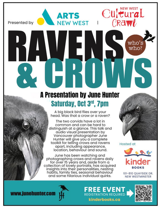 Talk on Crows and Ravens an Evening with June Hunter: October 3, 7:00 PM