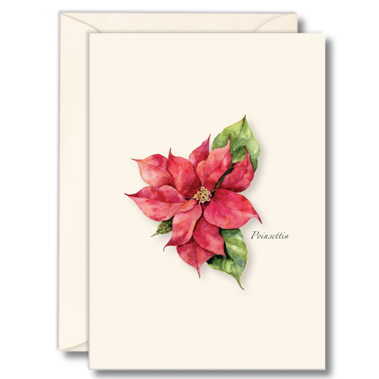 Boxed Card Set -Poinsettia Assortement