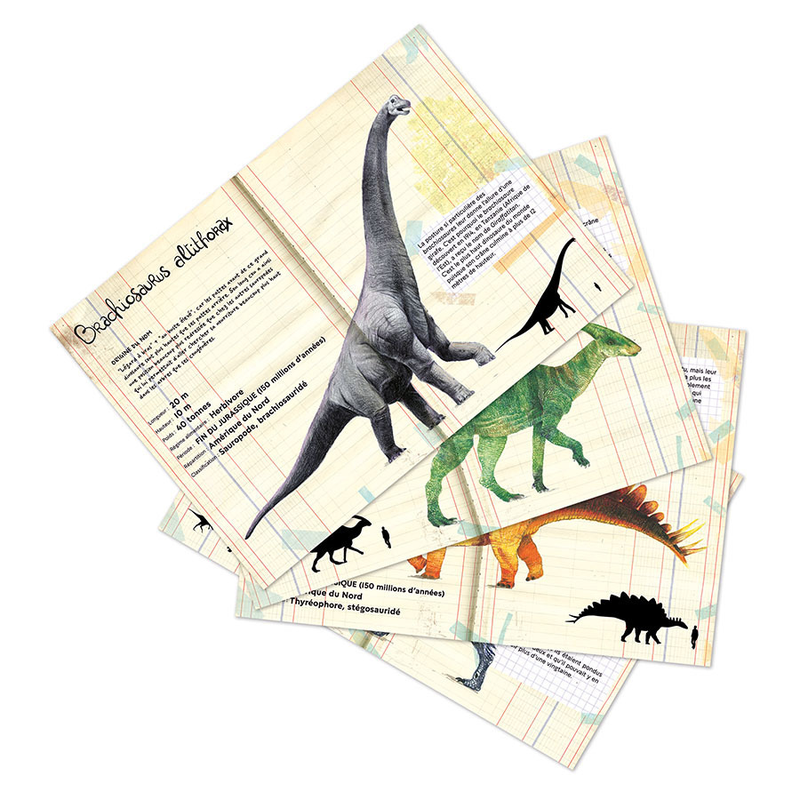 Dinosaur Magnets- Museum National dHistoire Naturelle