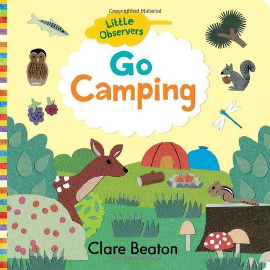 Little Observers:  Go Camping