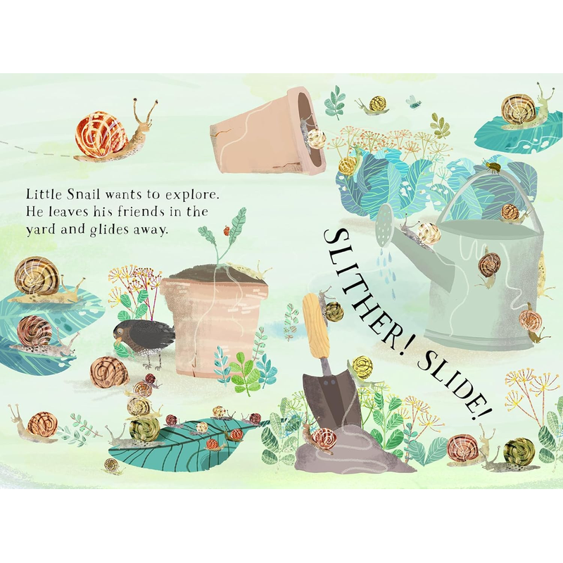 Little Snail's Book of Bugs (The Big Book Series)