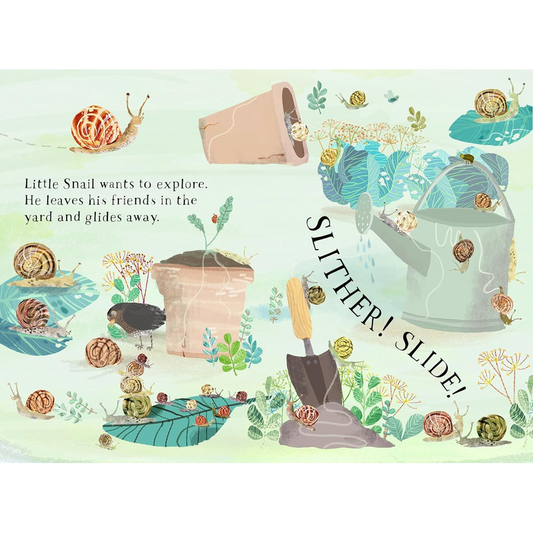 Little Snail's Book of Bugs (The Big Book Series)