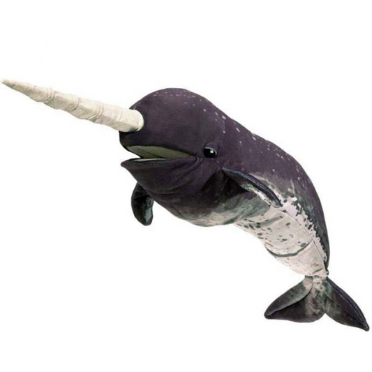 Narwhal