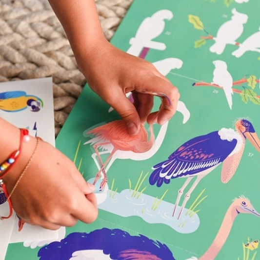 Discovery Poster Birds