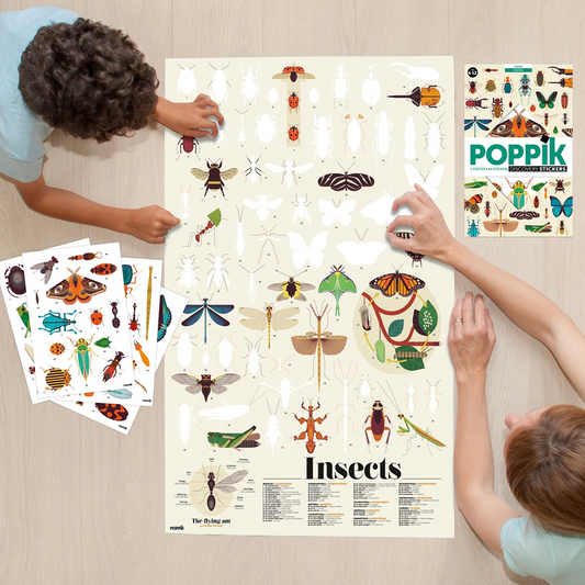 Discovery Poster Flowers