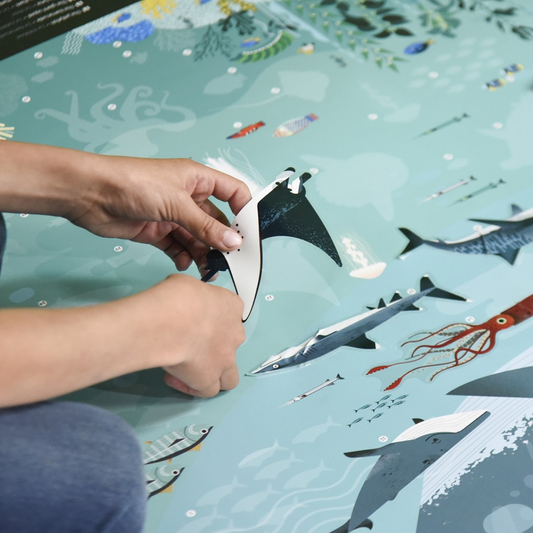 Discovery Poster Oceans