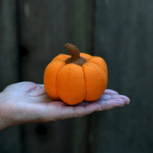 Pumpkins by Wool Food