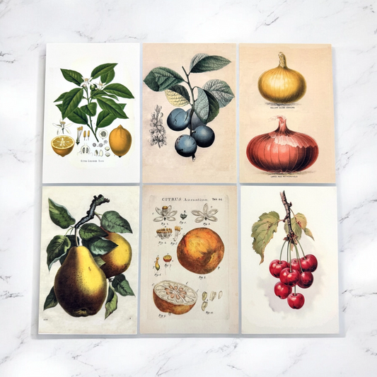 Firefly Botanical Recipe Card Set ,12 Cards + Banana Bread Recipe