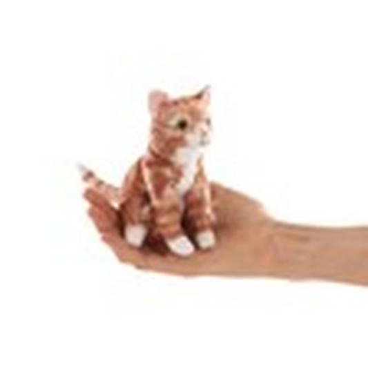 Orange Tabby Cat