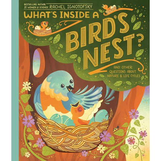 What's Inside A Bird's Nest?: And Other Questions About Nature & Life Cycles