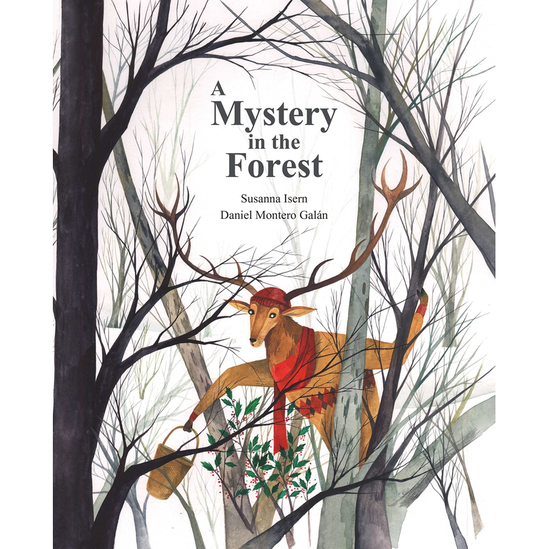 A Mystery in the Forest