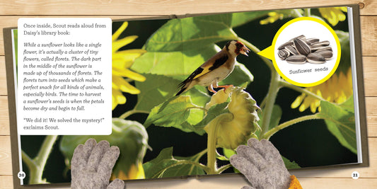 Gumboot Kids: The Case of the Growing Bird Feeder