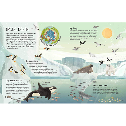 A Turtle's View of the Ocean Blue