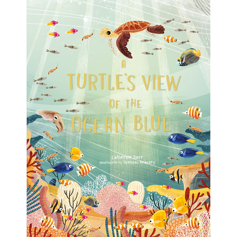 A Turtle's View of the Ocean Blue
