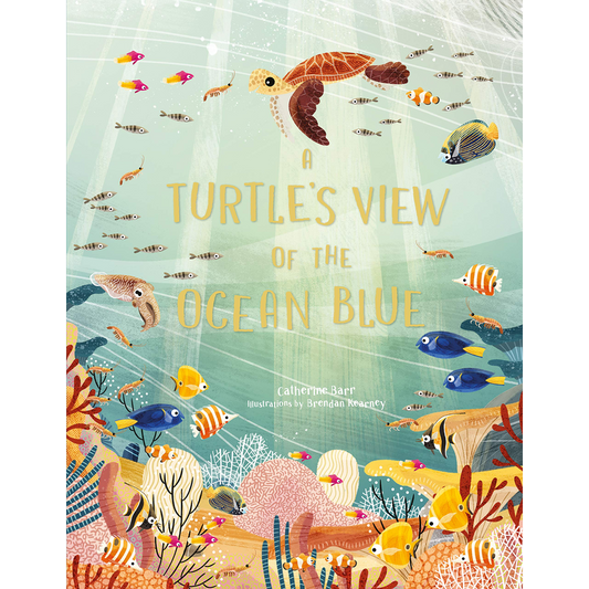 A Turtle's View of the Ocean Blue