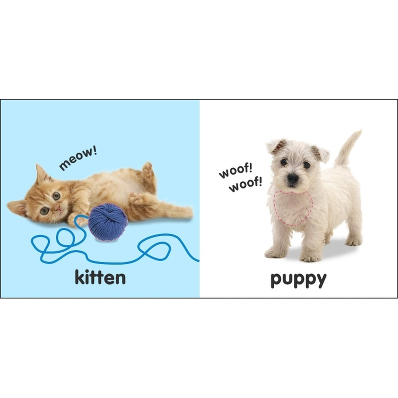 Baby Touch and Feel: Animals