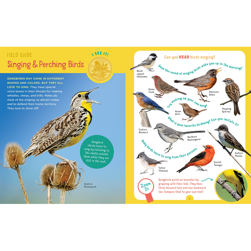 Backpack Explorer: Bird Watch: What Will You Find?
