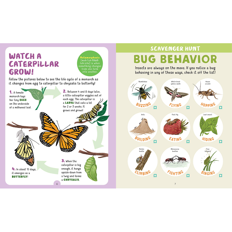 Backpack Explorer: Bug Hunt