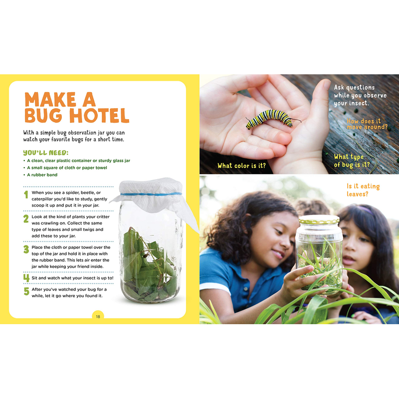 Backpack Explorer: Bug Hunt