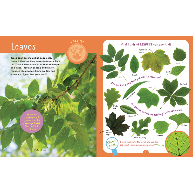 Backpack Explorer: Discovering Trees: What Will You Find?