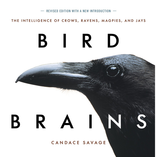 Bird Brains: The Intelligence of Crows, Ravens, Magpies, and Jays