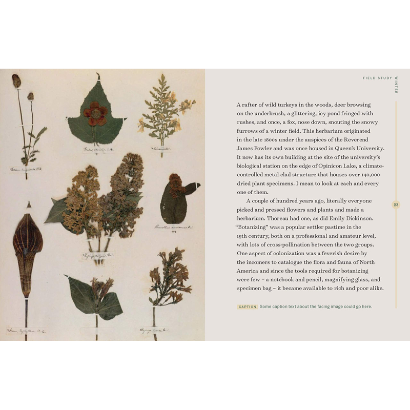 Field Study: Meditations on a Year at the Herbarium