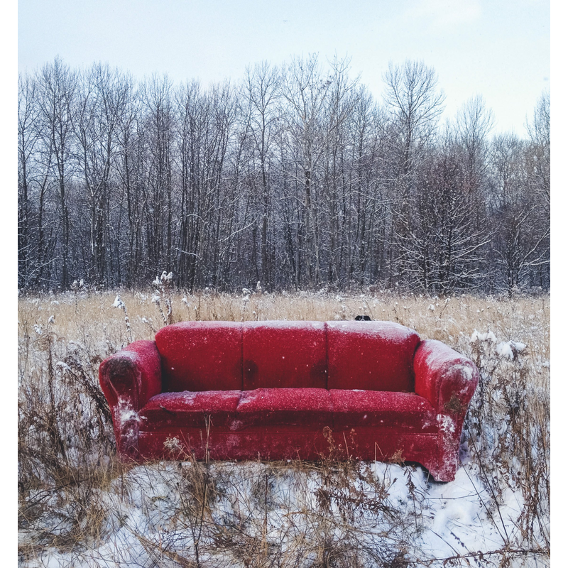 Find Momo: A Photography Book