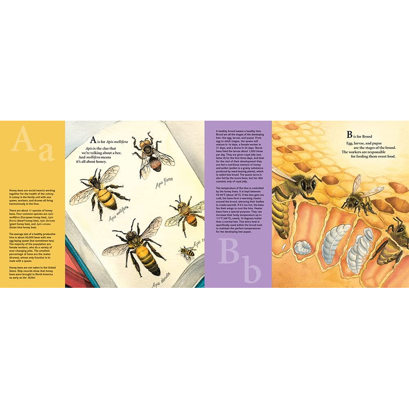 H is for Honey Bee: A Beekeeping Alphabet