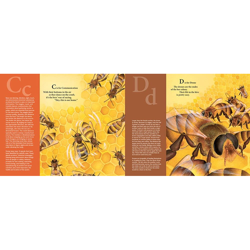 H is for Honey Bee: A Beekeeping Alphabet