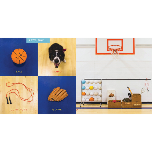 Let's Find Momo! A Hide-and-Seek Board Book