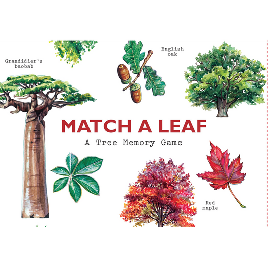 Match a Leaf: A Tree Memory Game