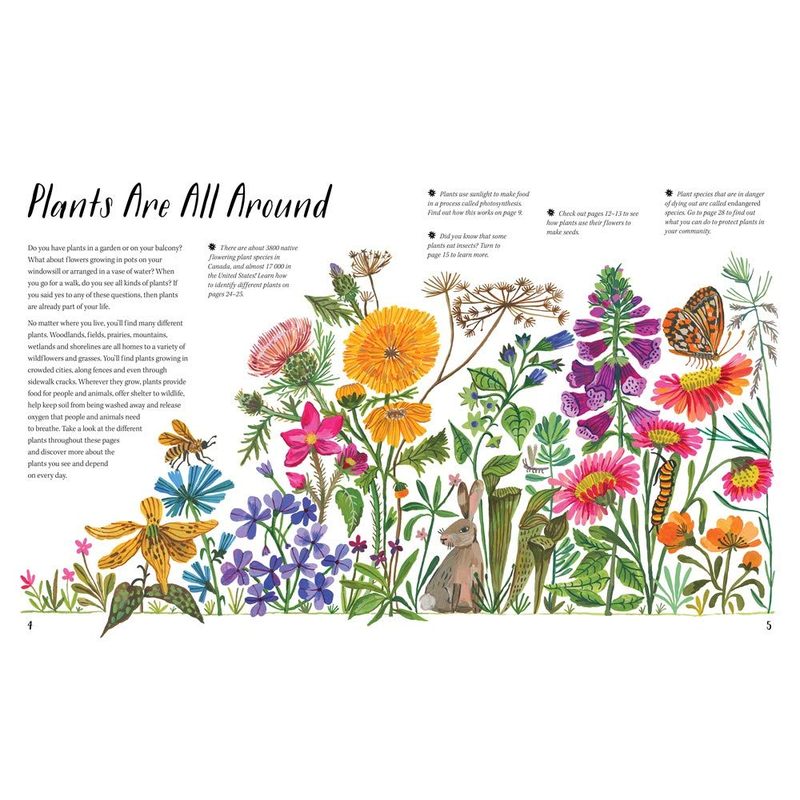 Nature All Around: Plants