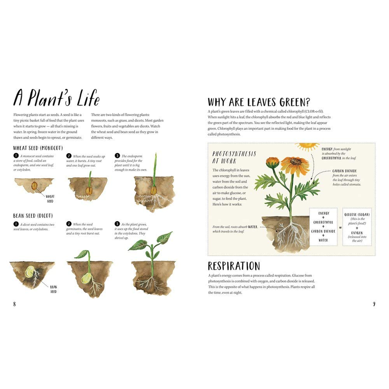 Nature All Around: Plants