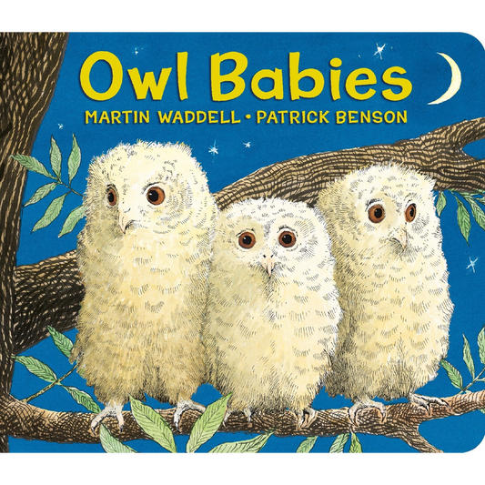Owl Babies