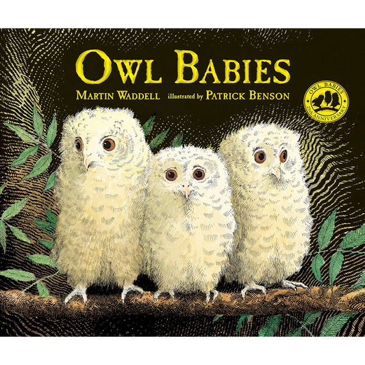 Owl Babies
