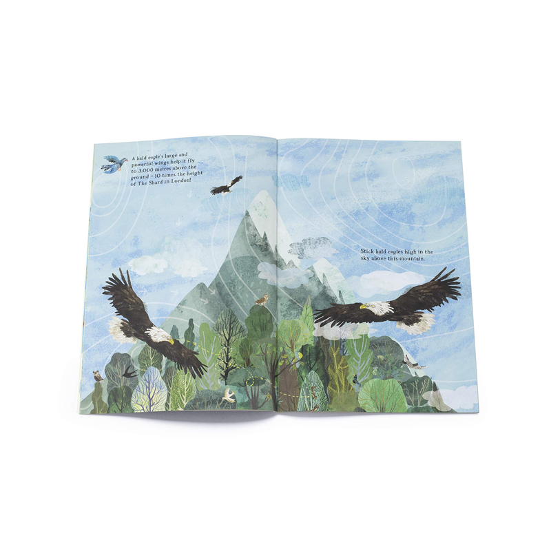 The Big Sticker Book of Birds