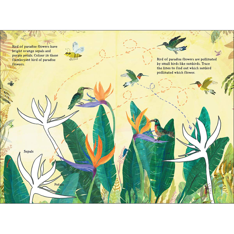 The Big Sticker Book of Blooms