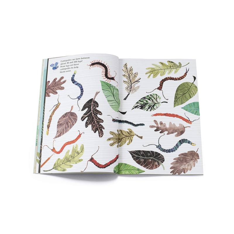 The Big Sticker Book of Bugs - Activity Book