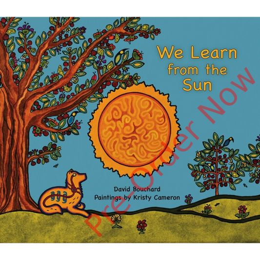 We Learn from the Sun Book