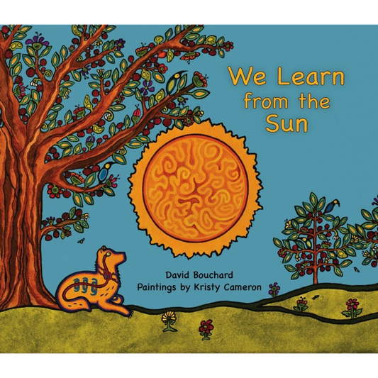 We Learn from the Sun Book