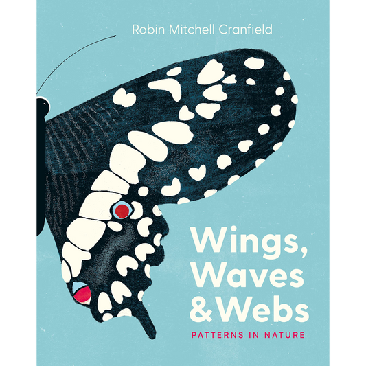 Wings, Waves & Webs: Patterns in Nature