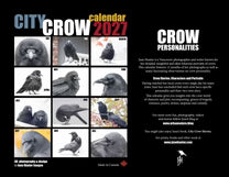 City Crow Calendar 2027 Wall Calendar by June Hunter