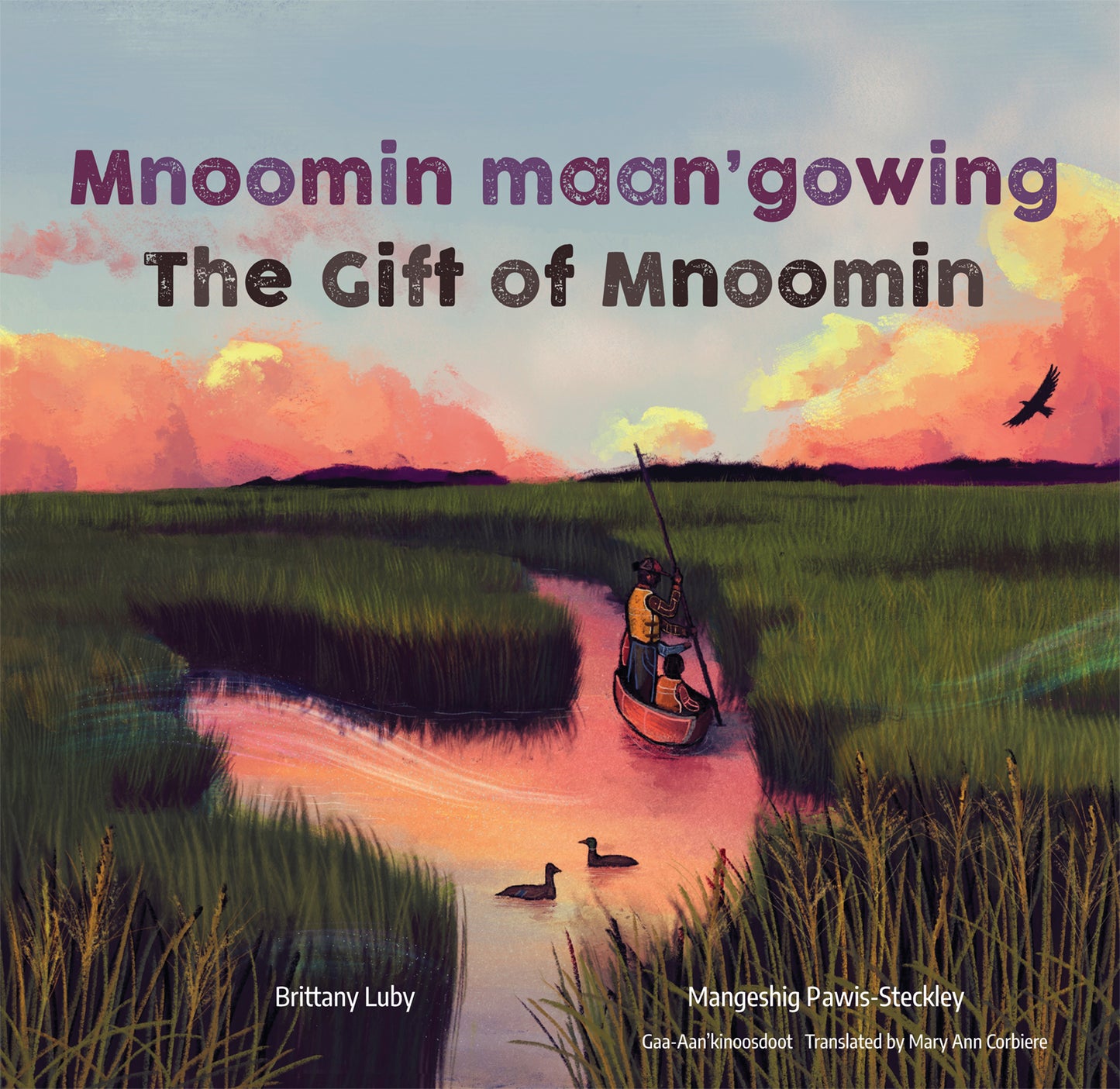 Mnoomin maan'gowing / The Gift of Mnoomin