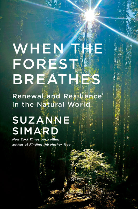 When the Forest Breathes