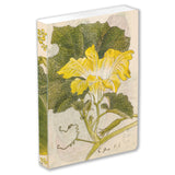 Japanese Squash Blossom Lined Paperback Journal