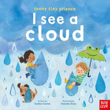 Teeny Tiny Science: I See a Cloud