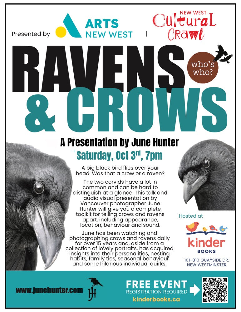 Talk on Crows and Ravens an Evening with June Hunter: October 3, 7:00 PM
